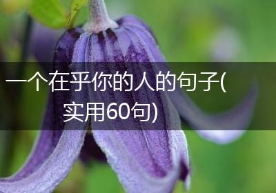 一个在乎你的人的句子(实用60句)
