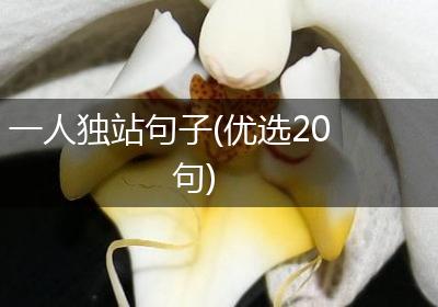 一人独站句子(优选20句)