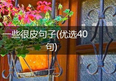 一些很皮句子(优选40句)
