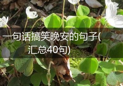 一句话搞笑晚安的句子(汇总40句)