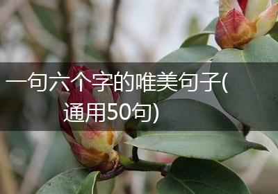 一句六个字的唯美句子(通用50句)