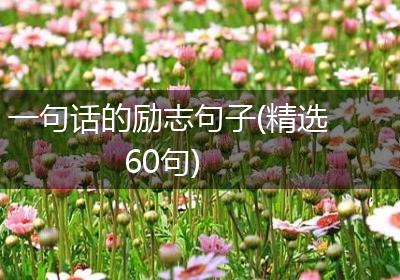 一句话的励志句子(精选60句)