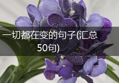 一切都在变的句子(汇总50句)