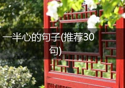 一半心的句子(推荐30句)