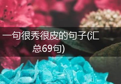 一句很秀很皮的句子(汇总69句)
