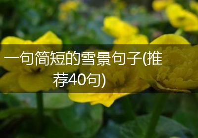 一句简短的雪景句子(推荐40句)