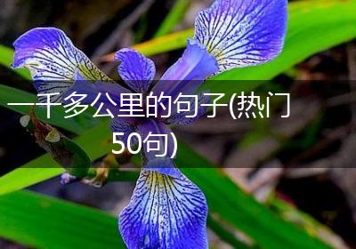 一千多公里的句子(热门50句)