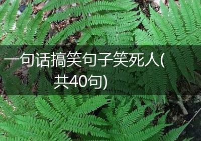 一句话搞笑句子笑死人(共40句)