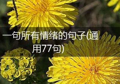 一句所有情绪的句子(通用77句)