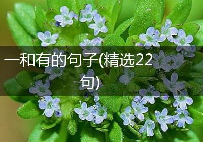 一和有的句子(精选22句)