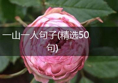 一山一人句子(精选50句)