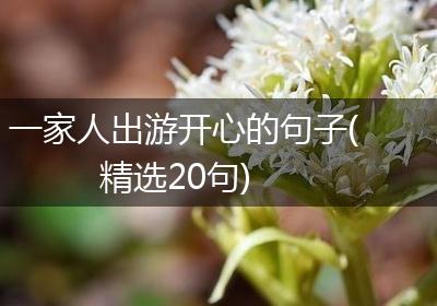一家人出游开心的句子(精选20句)