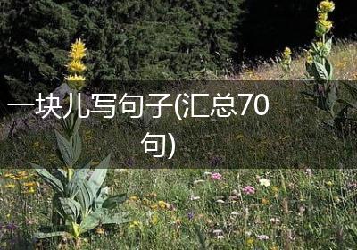一块儿写句子(汇总70句)