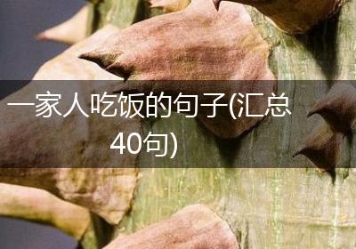 一家人吃饭的句子(汇总40句)