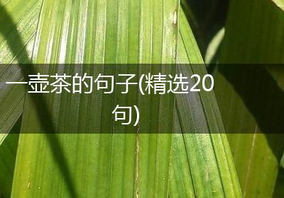 一壶茶的句子(精选20句)