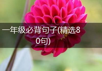 一年级必背句子(精选80句)