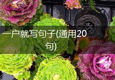 一户就写句子(通用20句)