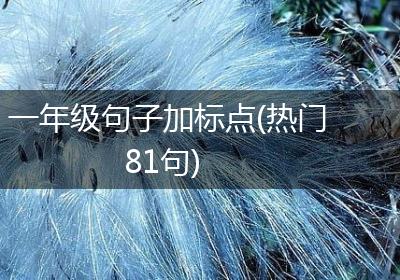 一年级句子加标点(热门81句)