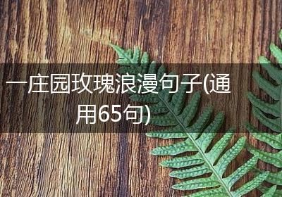 一庄园玫瑰浪漫句子(通用65句)