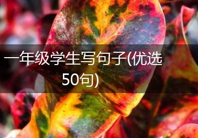 一年级学生写句子(优选50句)