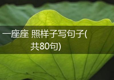 一座座 照样子写句子(共80句)