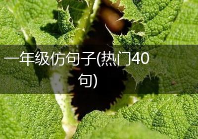 一年级仿句子(热门40句)