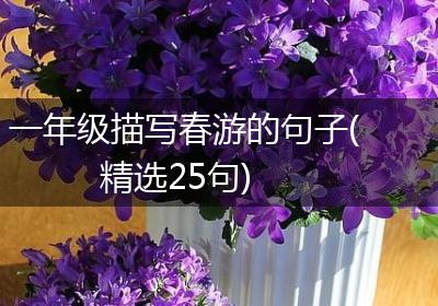 一年级描写春游的句子(精选25句)
