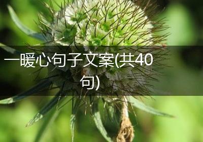 一暖心句子文案(共40句)