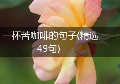 一杯苦咖啡的句子(精选49句)