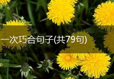 一次巧合句子(共79句)
