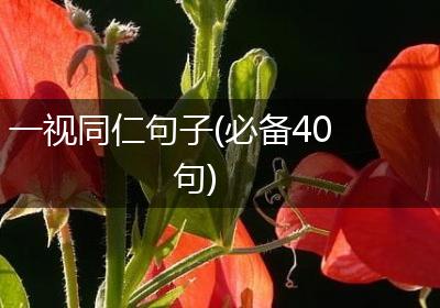 一视同仁句子(必备40句)