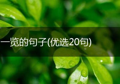 一览的句子(优选20句)