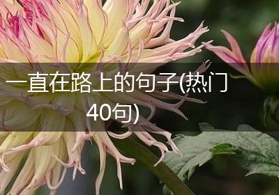 一直在路上的句子(热门40句)