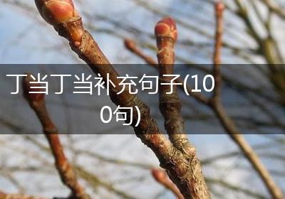 丁当丁当补充句子(100句)