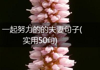 一起努力的的夫妻句子(实用50句)