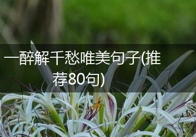 一醉解千愁唯美句子(推荐80句)