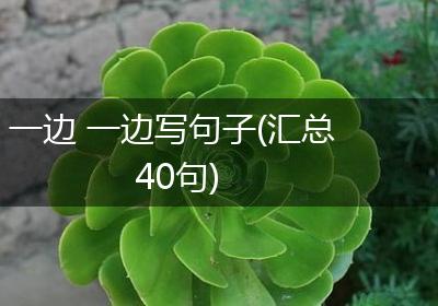 一边 一边写句子(汇总40句)