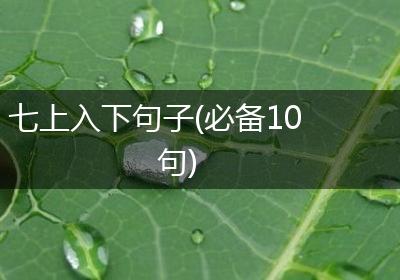 七上入下句子(必备10句)