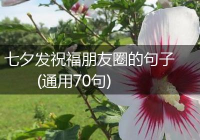 七夕发祝福朋友圈的句子(通用70句)