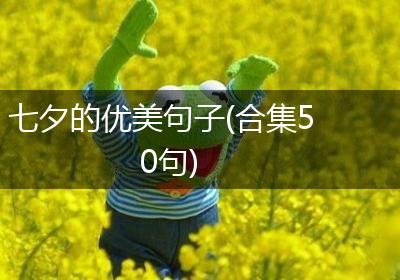 七夕的优美句子(合集50句)
