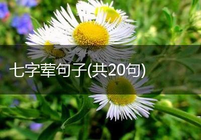 七字荤句子(共20句)