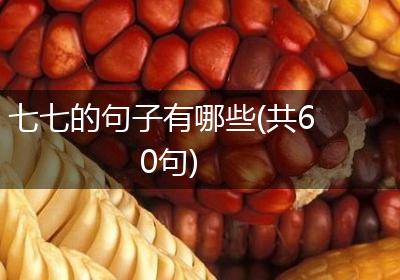 七七的句子有哪些(共60句)