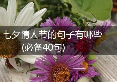 七夕情人节的句子有哪些(必备40句)