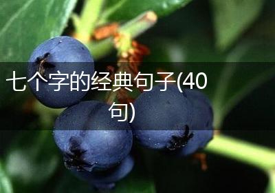 七个字的经典句子(40句)