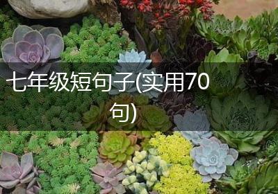 七年级短句子(实用70句)