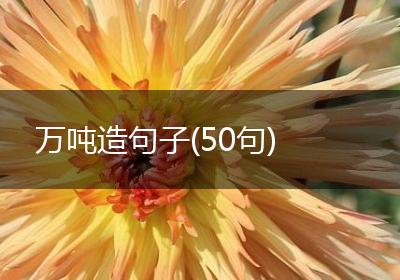 万吨造句子(50句)