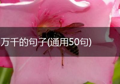 万千的句子(通用50句)