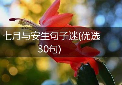 七月与安生句子迷(优选30句)