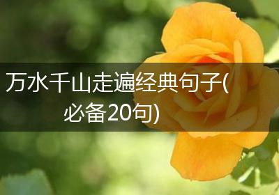 万水千山走遍经典句子(必备20句)