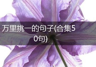 万里挑一的句子(合集50句)